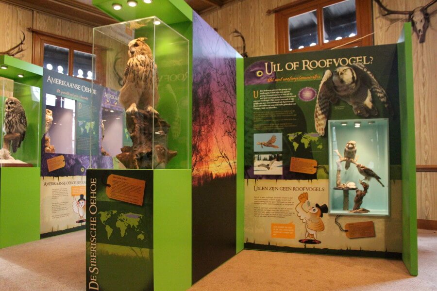 uil of roofvogel oeroe-boeroe opvoedkunde natuureducatie oeroeboeroe 