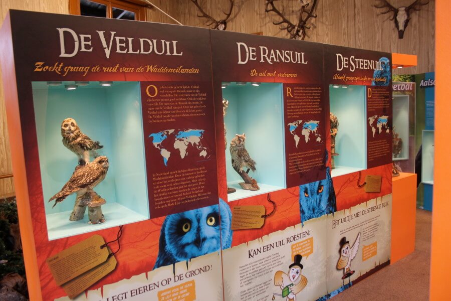 velduuil ransuil steenuil