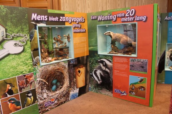 collage stinkdier oeroe-boeroe opvoedkunde natuureducatie oeroeboeroe 