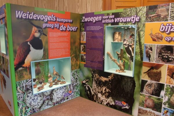 collage weidevogels