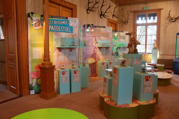 paddestoelen gewei ree oeroe-boeroe kinderontwikkeling educatieve projecten oeroeboeroe