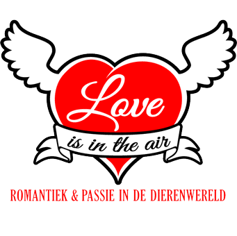 love is in the air oeroe-boeroe educatieve projecten milieueducatie natuureducatie oeroeboeroe
