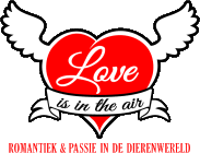 love in the air oeroeboeroe ontwikkeling kind leskist milieueducatie oeroeboeroe 