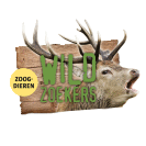 wild zoekers zoogdieren oeroe-boeroe educatieve projecten milieueducatie natuureducatie oeroeboeroe