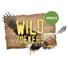 wild zoekers vogels havik oeroe-boeroe educatieve projecten milieueducatie natuureducatie oeroeboeroe