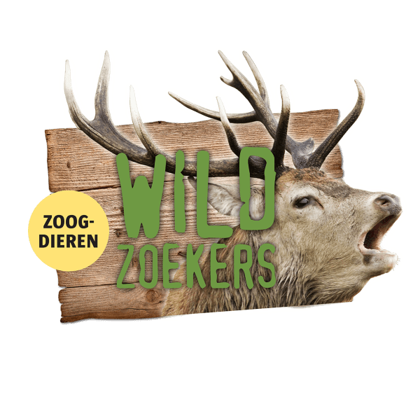 wild zoekrs zoogdieren oeroe-boeroe tentoonstelling pedagogiek oeroeboeroe