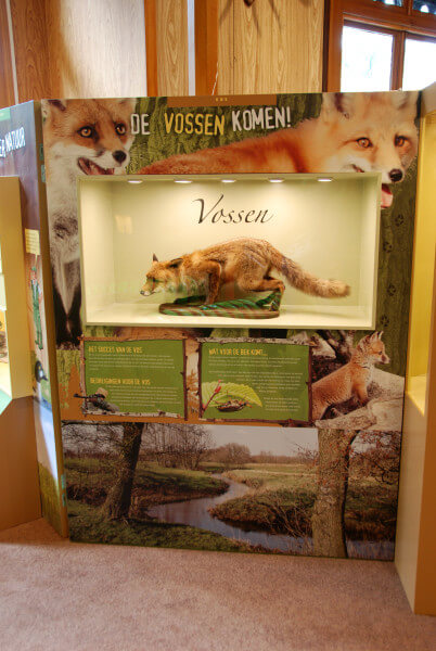 vossen oeroe-boeroe oeroeboeroe natuureducatie