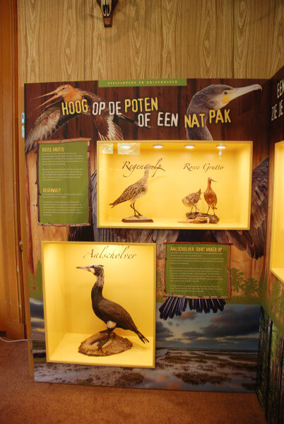rosse grutto oeroe-boeroe oeroeboeroe natuureducatie opvoedkunde 