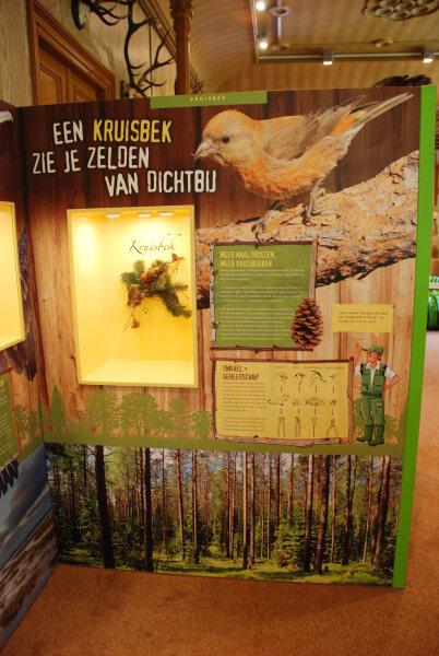 kruisbek oeroe-boeroe oeroeboeroe natuureducatie opvoedkunde 