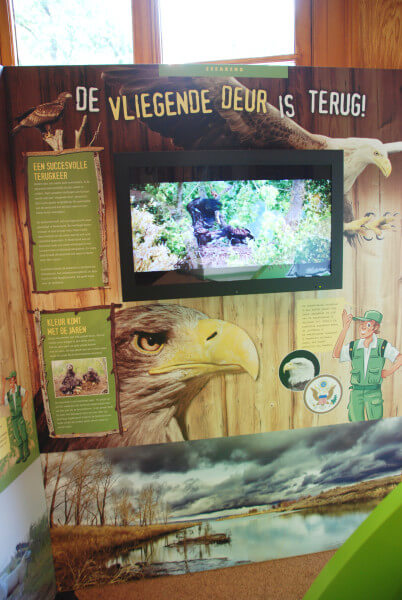 havik oeroe-boeroe oeroeboeroe natuureducatie