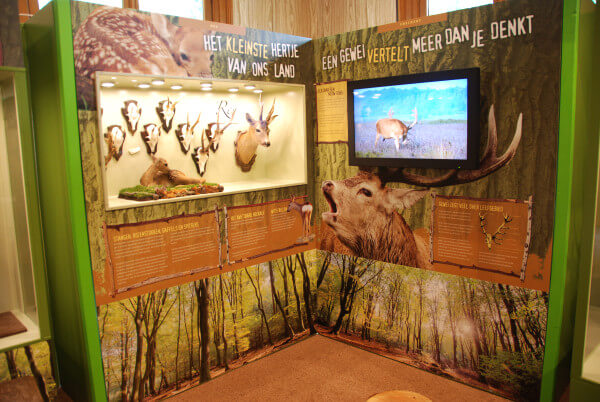 ree collage oeroe-boeroe oeroeboeroe natuureducatie