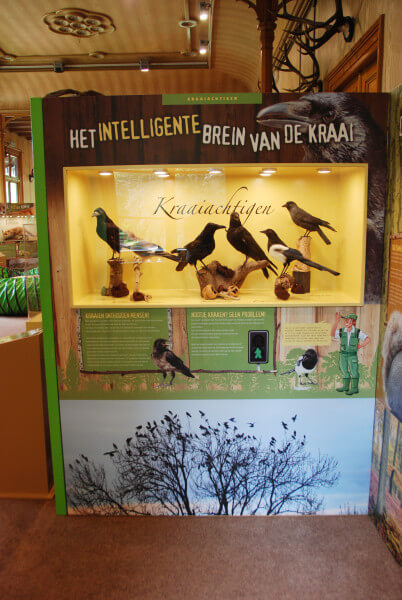 Kraaiachtigen oeroe-boeroe oeroeboeroe natuureducatie