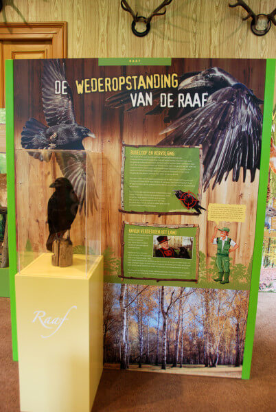 raaf oeroe-boeroe oeroeboeroe natuureducatie