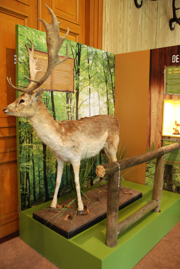 ree oeroe-boeroe oeroeboeroe natuureducatie