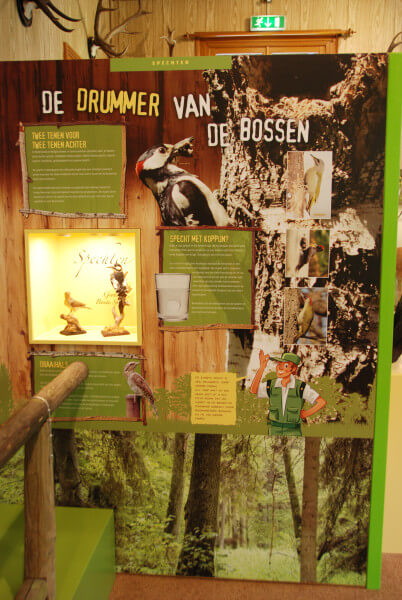 ddrummer van de bossen oeroe-boeroe oeroeboeroe natuureducatie
