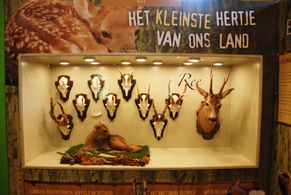 ree oeroe-boeroe oeroeboeroe natuureducatie