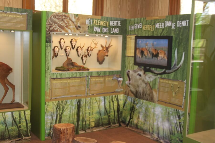 ree gewei oeroe-boeroe educatieve projecten milieueducatie natuureducatie oeroeboeroe