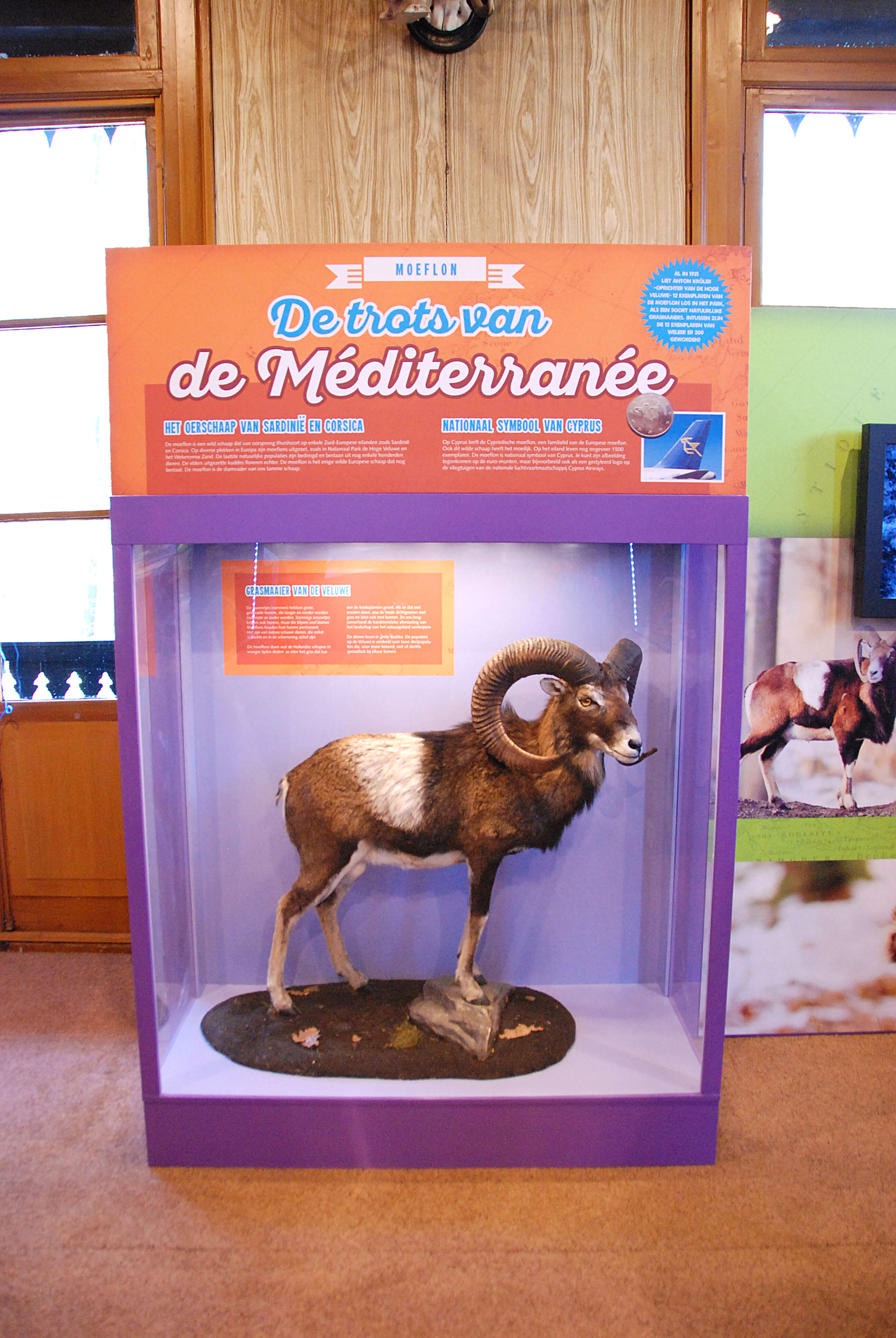Oeroe Boeroe tentoonstelling