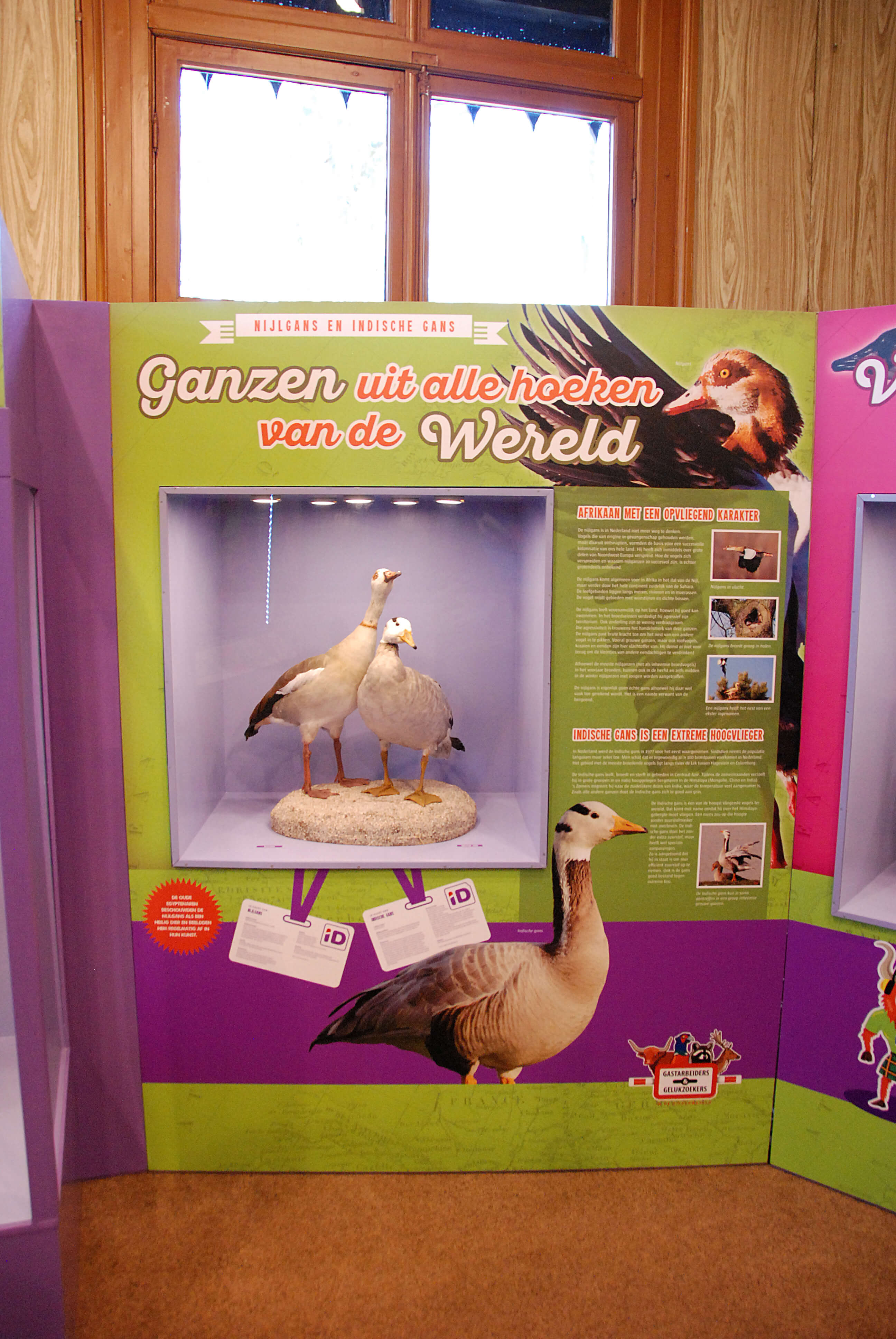 Oeroe Boeroe tentoonstelling